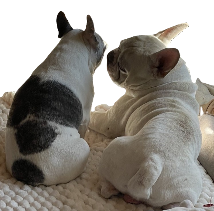 不用品回収ならお任せ下さい